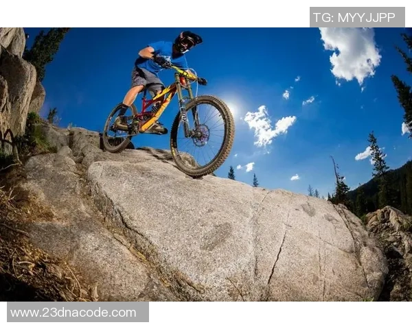 2026极限运动灵活性排行榜：重庆极限运动队位居第9名