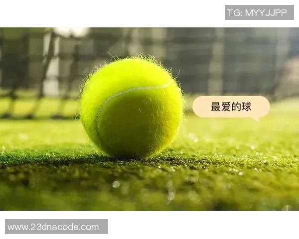 网球新手攻略：技术入门指南